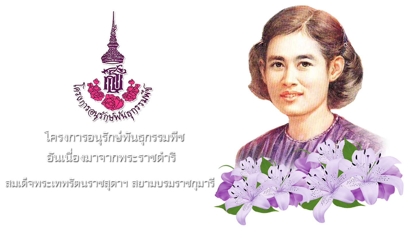 อพ.สธ. Banner