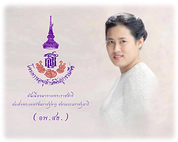 ความเป็นมา อพ.สธ.